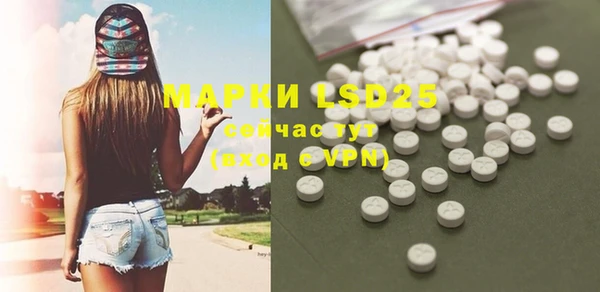 прущие грибы Няндома