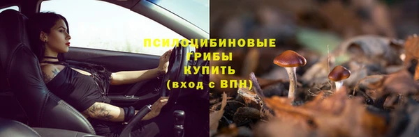 прущие грибы Няндома