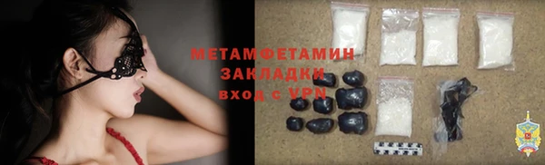 прущие грибы Няндома