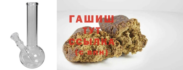 прущие грибы Няндома