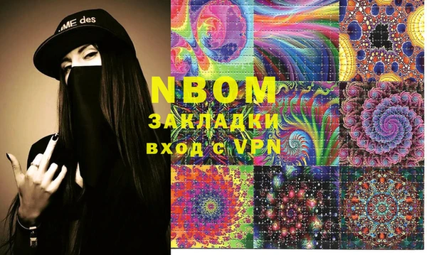 прущие грибы Няндома
