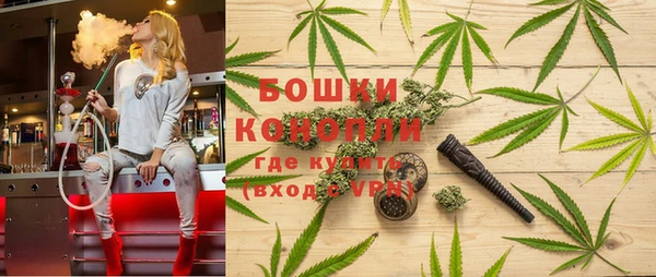 прущие грибы Няндома