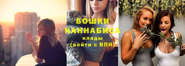 прущие грибы Няндома