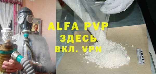 прущие грибы Няндома