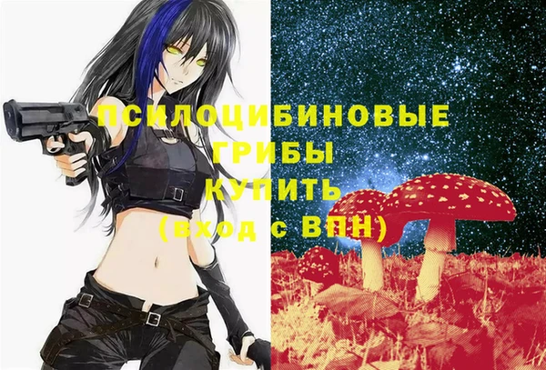 прущие грибы Няндома