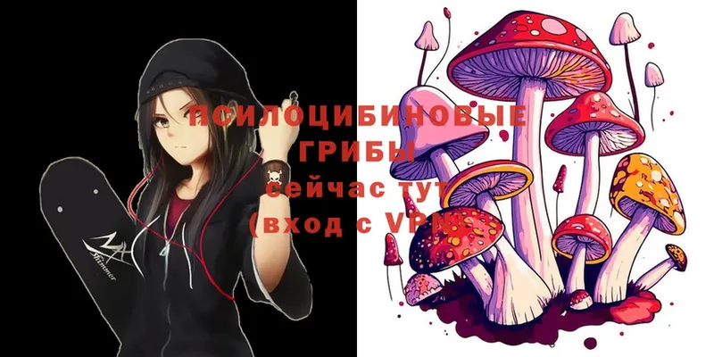 Галлюциногенные грибы Magic Shrooms  Амурск 