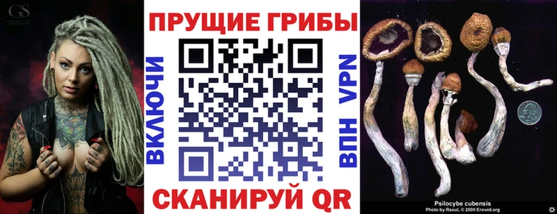 Псилоцибиновые грибы Magic Shrooms  где купить наркоту  MEGA зеркало  Амурск 