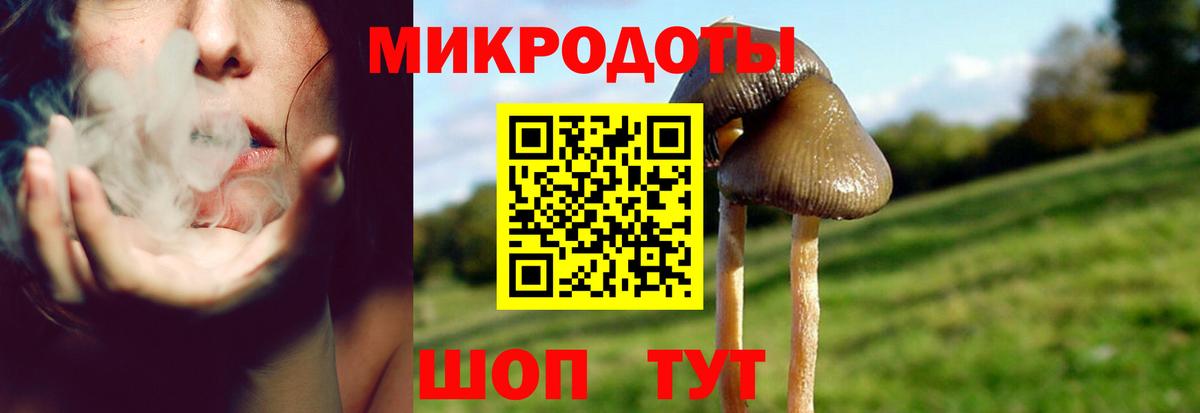 Псилоцибиновые грибы MAGIC MUSHROOMS Амурск